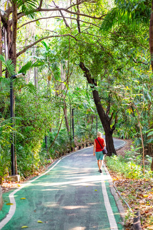 A tourist walks along a path in Chatuchak Park in Bangkok, Thailand among tall green trees.の写真素材