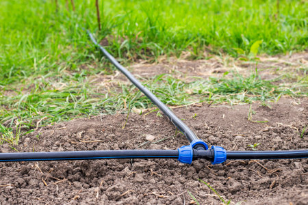Carrying out drip irrigation. Mounted HDPE pipe, connected with a tee on the garden plot.の写真素材