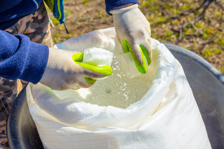 A farmer collects mineral granulated nitrogen fertilizers from a bag to feed trees in an orchard in...