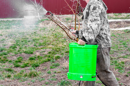 A gardener treats fruit trees and shrubs with a battery-powered sprayer in the garden in spring. Prevention of plant and tree diseases.の写真素材