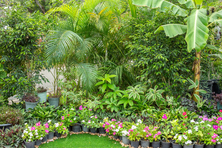 Tropical flowers in pots and plants around. Green area design, picturesque corner. Chatuchak Park in Bangkok.の写真素材