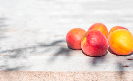 Ripe colorful apricots lie on a sunlit wooden surface. Fruit harvest.の写真素材