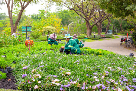 Gardeners tend to a colorful flowerbed in a lush park, among trees and winding paths.の写真素材