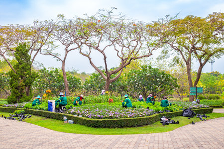 A group of gardeners carefully tend to a flower bed in a public park, maintaining a lush landscape shaded by large trees.の写真素材