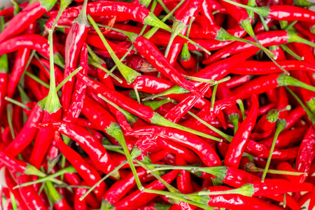 Lots of chili peppers. Background of red pods, vegetable spices.の写真素材