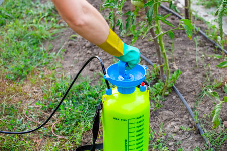 A gloved hand fills a sprayer with liquid, preparing to treat plants in the garden. plant disease...