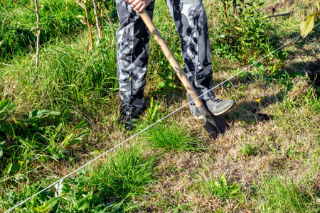 A man digs a hole with a shovel to plant a tree, using a rope to mark the hole in the garden.