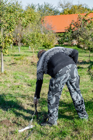 A man uses a wooden stake to mark out a field for planting trees in a rural garden.