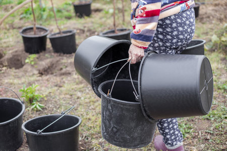 A gardener carries black plastic pots for planting young tree saplings.の写真素材