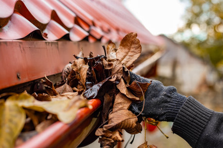 A gloved hand clears the gutter of a red tile roof of fall leaves, preventing clogs and water damage.の写真素材