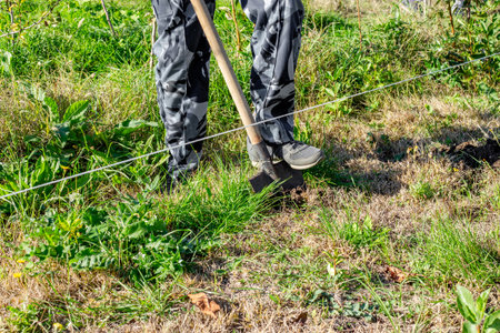 A man digs a hole with a shovel to plant a tree, using a rope to mark the hole in the garden.