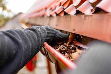 Close-up of gloved hands cleaning a gutter filled with fallen leaves.の写真素材