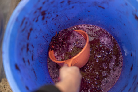 Freshly squeezed grape juice and crushed grapes in buckets showing the winemaking process.の写真素材