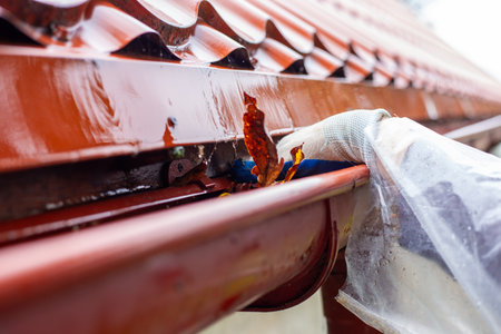 A gloved hand pulling a large pile of wet, rotting autumn leaves from a clogged gutter during a...