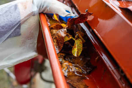 A man pulls a large pile of wet autumn leaves from a clogged gutter during a rainstorm. Gutter cleaning.の写真素材