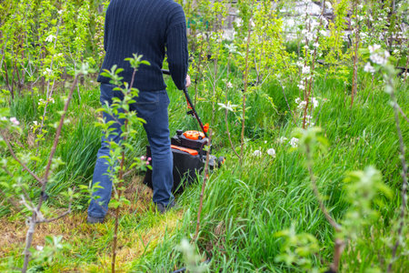 A man pushes an orange lawn mower through tall green grass among blooming trees in a garden. yard...