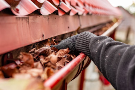 A gloved hand reaches into a roof gutter filled with autumn leaves. gutter cleaning, roof maintenance, fall chore. Autumn.の写真素材