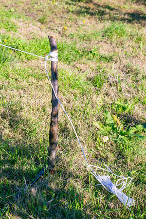A wooden stake stands in a grassy field with a marking string attached. construction marking, garden planning, boundary line.の写真素材