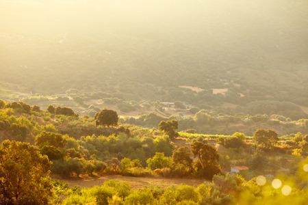 Peaceful rural landscape of Sardinia on sunset, Italy