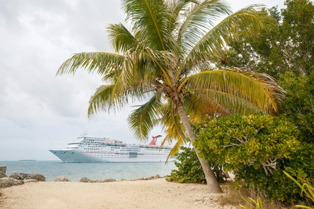 Lurxurious Cruise Ship By The Beach With Palm Coconut Treesの写真素材