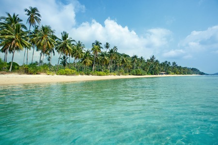 Tropical beach and coconut palms in Koh Samui, Thailandの写真素材