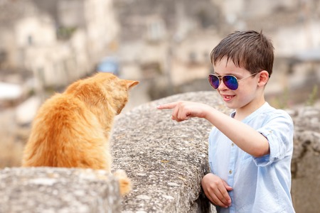 Cute little boy met a cat while walking at typical italian townの写真素材