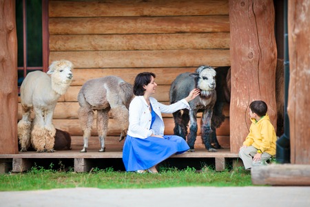 Young woman and her son playing with a baby alpaca on farmの写真素材