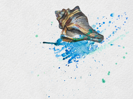 shell and blue watercolor blotの写真素材