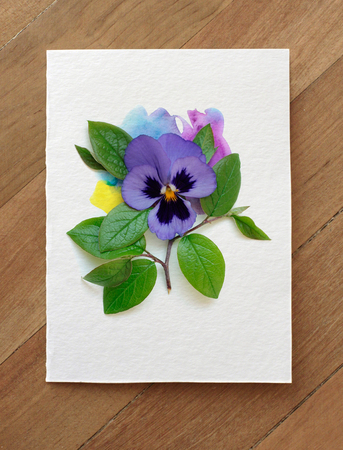 beautiful abstract photo collage with spring and summer flowersの写真素材