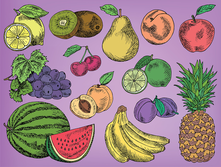 Fruits menu, summer garden, lemon, apple, grape, watermelon, pear, peach, plum, cherry, lime, kiwi, apricot, banana, pineappleのイラスト素材
