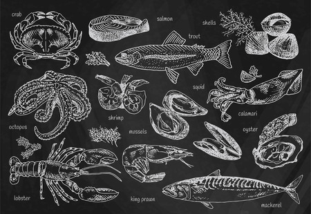 Seafood menu, octopus, mussels, lobster, trout, shells, mackerel, crab, oyster, king prawns, shrimps, squid, salmon, calamari on chalkboard background