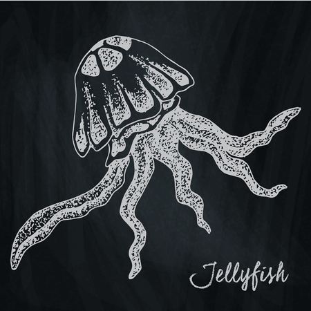 Beautiful chalk drawing artwork of the jellyfish on chalkboard backgroundのイラスト素材