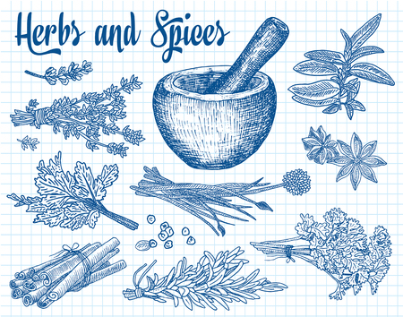 Beautiful hand drawing healthy herbs and spices mortar. Herbs, basil, chervil.のイラスト素材