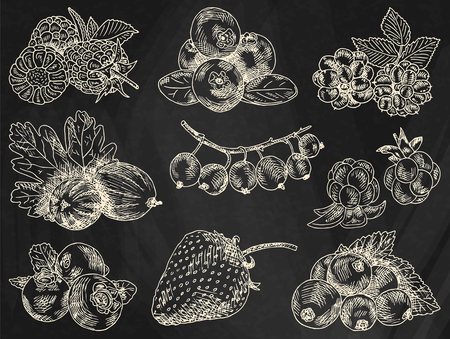 Berries icon set on chalkboard background, vector illustration.のイラスト素材