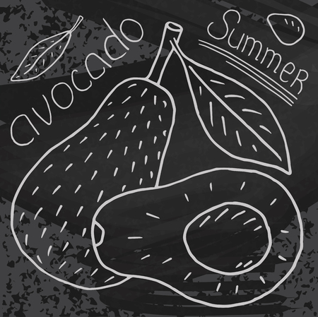 Sweet juicy avocado. Summer exotic food. Beautiful hand drawn illustration of fruits on chalkboard backgroundのイラスト素材