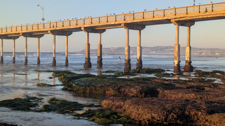 Ocean Beach Pier in San Diego California during king tides at low tide where the tidal pools are visible.の写真素材