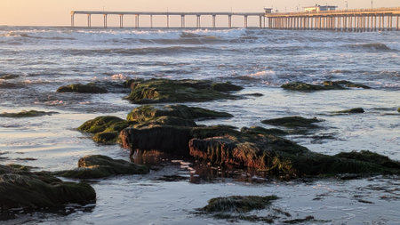 Ocean Beach Pier in San Diego California during king tides at low tide where the tidal pools are visible.の写真素材