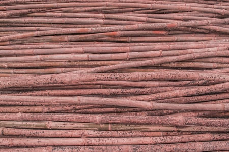 Texture, background. Red bamboo.の写真素材