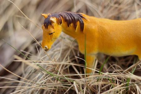 toy horse in nature photographed as real among the dry grass like haystacksの写真素材