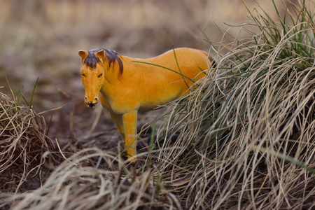 toy horse in nature photographed as real among the dry grass like haystacksの写真素材