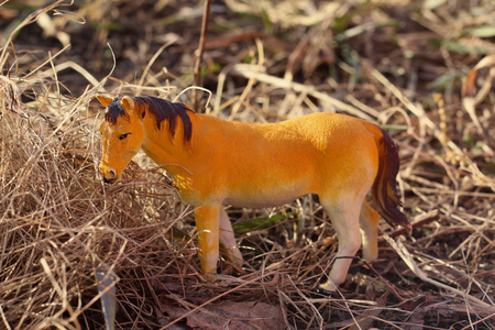 toy horse in nature photographed as real among dry grass like haystacks imitation horse feedingの写真素材