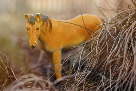 toy horse in nature photographed as real among the dry grass like haystacksの写真素材