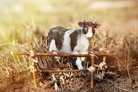 toy cow photographed on the street with a fence of branches on the ground in the grassの写真素材