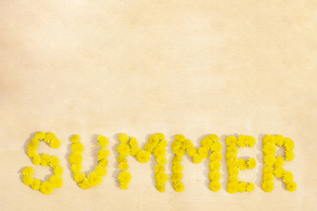 word summer from dandelions on wood surface background copyspaceの写真素材