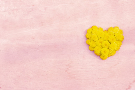 dandelion heart on wood surface background copyspace pink colorの写真素材