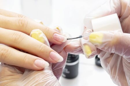 manicure. the manicurist applies the base to the client under the gel polish. transparent base on the nails.の写真素材