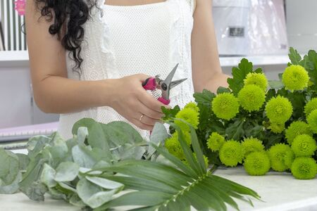 Florist girl prunes green chrysanthemums. creating a bouquet of fresh flowers. work in a flower shopの写真素材