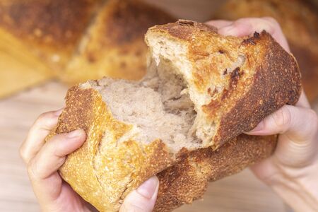 Woman breaking fresh bread, closeup. Traditional fresh flavored bread. Food concept.