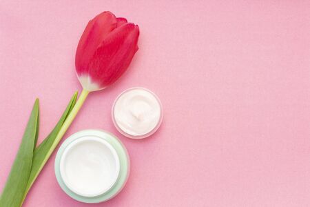 Spring skin care. Tulip and jar of cream on a pink background.の写真素材