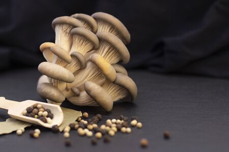 Fresh oyster mushrooms on a dark background. peppercorns and bay leaf.の写真素材